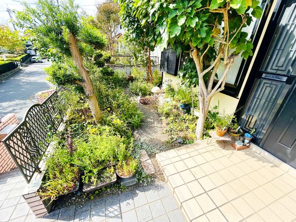 庭