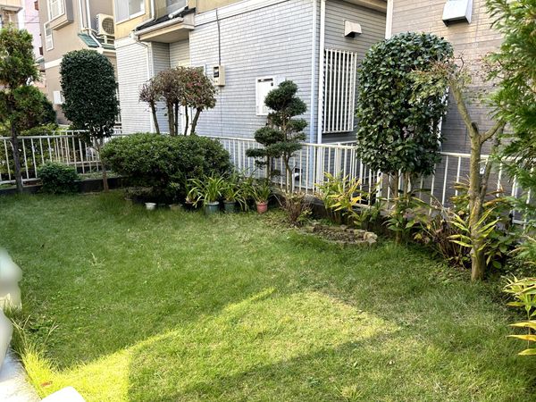 緑区橋本台1丁目 戸建 庭 緑区橋本台1丁目 戸建 庭