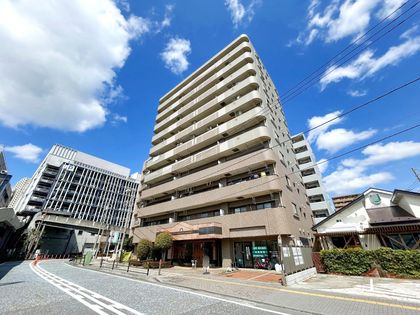 ダイアパレスステーションプラザ橋本 外観