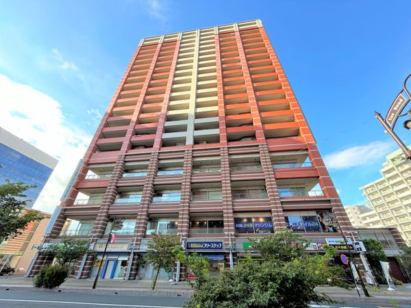 スカイレジデンシャルタワーズ ノースウイング 外観 外観