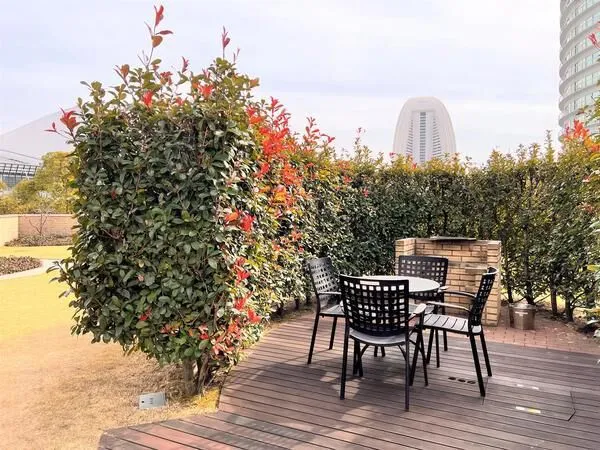 【The Garden】