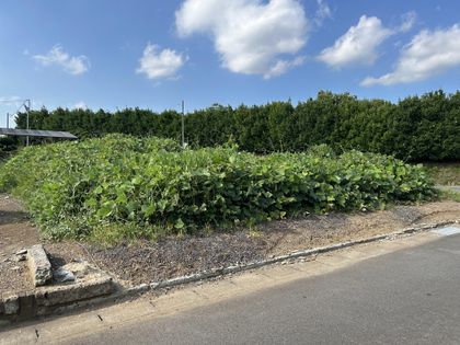 牛久市小坂町 土地 土地写真