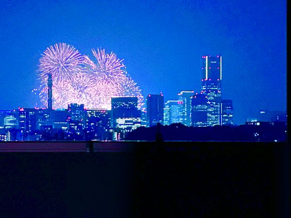 保土ケ谷区月見台 新築戸建B号棟 眺望