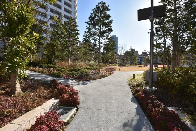 植栽に囲まれた敷地内の遊歩道。広場もあり、日当たりの良い開放的な共用空間です。