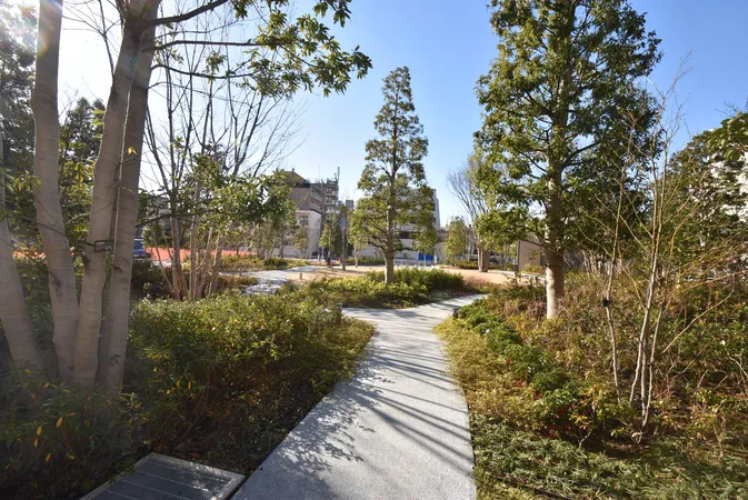 敷地内の緑豊かな遊歩道。季節の移ろいを感じながら散歩が楽しめる環境です。