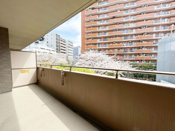 三田シティハウス バルコニー