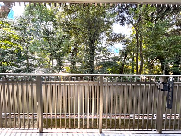 メゾン赤坂 庭 メゾン赤坂 庭