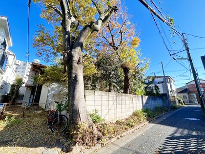 上馬5丁目土地 土地写真