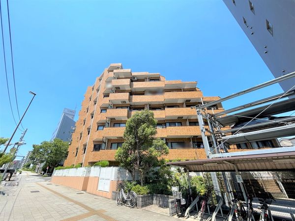 ライオンズマンション平井 外観 ライオンズマンション平井 外観