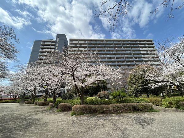 小松川パークマンション 弐号棟 外観 小松川パークマンション 弐号棟 外観