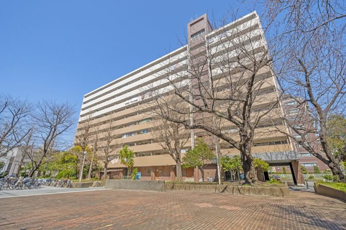 大島3丁目団地 2号棟 外観 大島3丁目団地 2号棟 外観