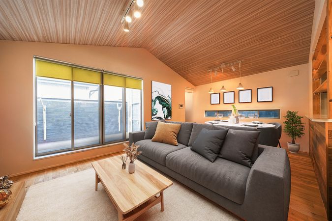 草加市弁天1丁目 戸建 リビング