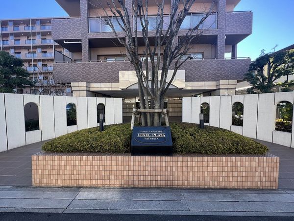レクセルプラッツァ谷塚 エントランス エントランス