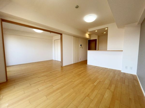 ルミナス八潮参番館 リビング