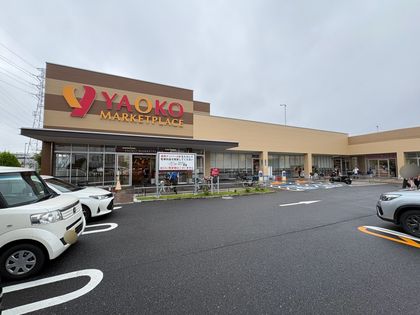 レヴィール八潮グランステージ ヤオコー(約920m) ヤオコー(約920m)