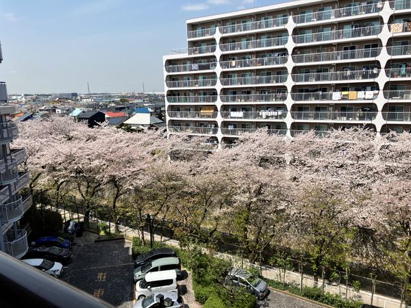 ルネ草加松原 共有部分 ルネ草加松原 共有部分