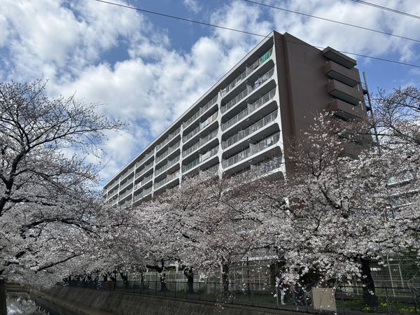 草加松原ハイツA棟 外観 草加松原ハイツA棟 外観