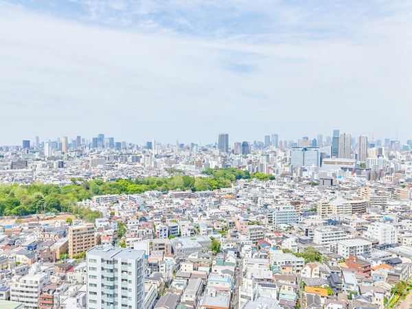 パークシティ武蔵小山ザタワー 眺望