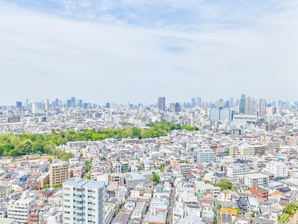 パークシティ武蔵小山ザタワー 眺望