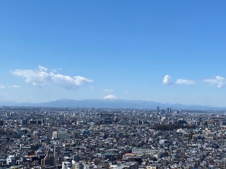 パークシティ武蔵小山ザタワー バルコニーからの眺望