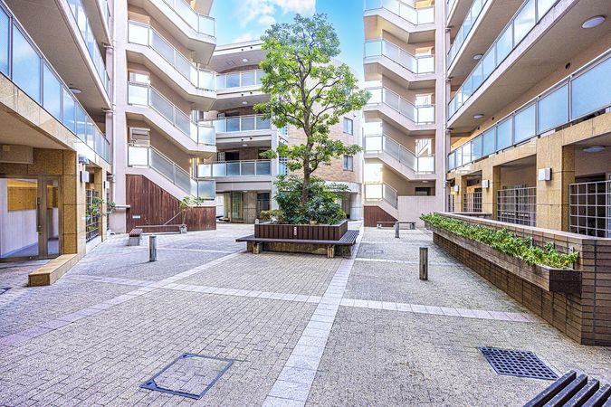 アデニウム武蔵小山 庭