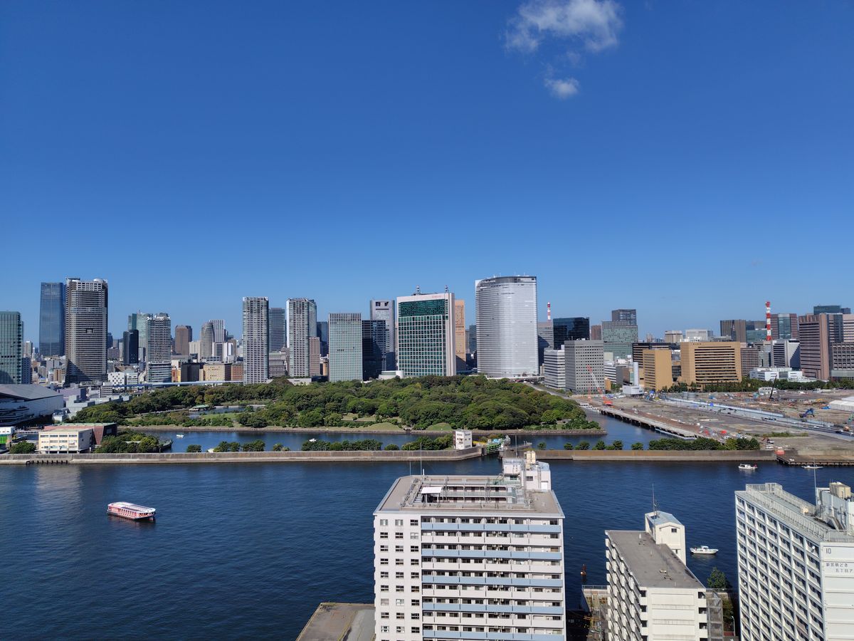 コスモ東京ベイタワー 眺望 眺望