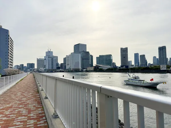 中央区立勝どき見晴らし公園約80m