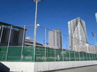 中央区立豊海運動公園約560ｍ