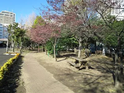 豊海児童公園約450ｍ