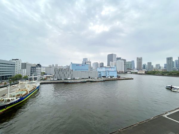 コスモ東京ベイタワー 眺望 眺望