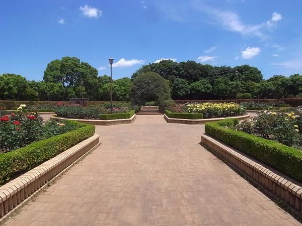 県立柏の葉公園（約1110ｍ）