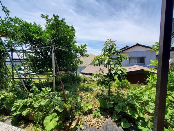 南区別所2丁目 土地 土地写真