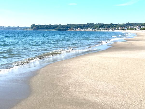 三浦市南下浦町上宮田 (土地) その他 その他