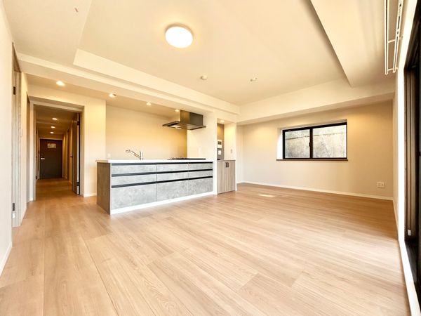 日神パレステージ光陽台 リビング リビング