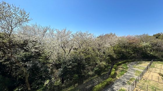 シティ能見台つどいの街 十番館 眺望