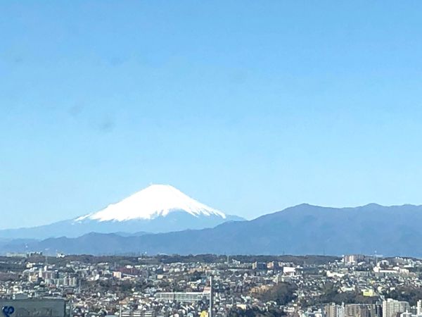 ザ・タワー横浜北仲 眺望 ザ・タワー横浜北仲 眺望