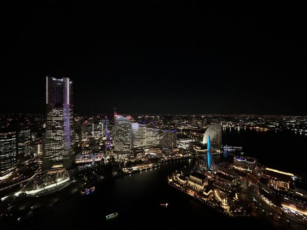 ザ・タワー横浜北仲 眺望