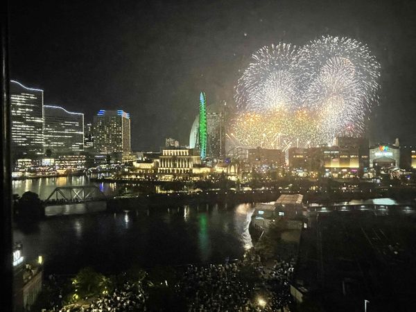 ザ・タワー横浜北仲 眺望