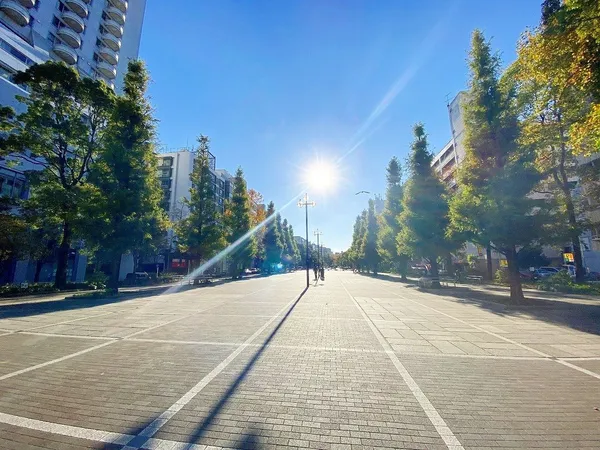 徒歩5分。
