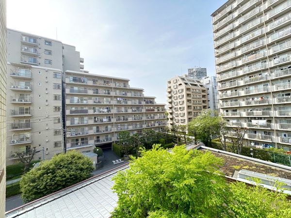 アトラス江戸川アパートメント 眺望 眺望