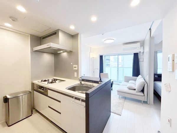 パークリュクス市谷薬王寺 リビング リビング