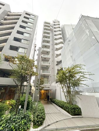 グランドシティ白山 庭 グランドシティ白山 庭