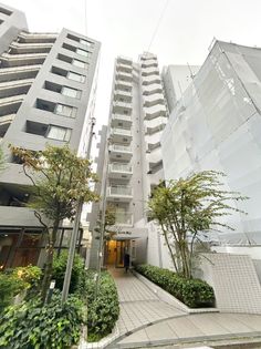 グランドシティ白山 外観