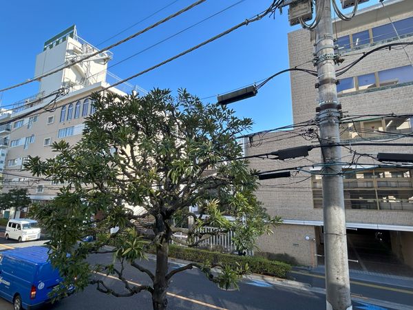 オープンレジデンシア文京西片 眺望