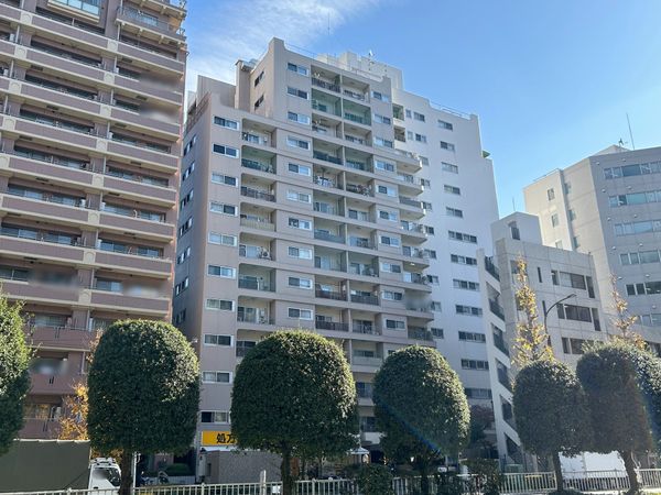 シャトー文京 眺望 シャトー文京 眺望