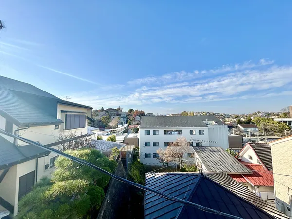 現地からの眺望