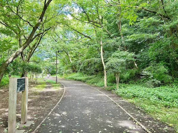 さくらの散歩路＜さえずりの小径＞（水道みち）