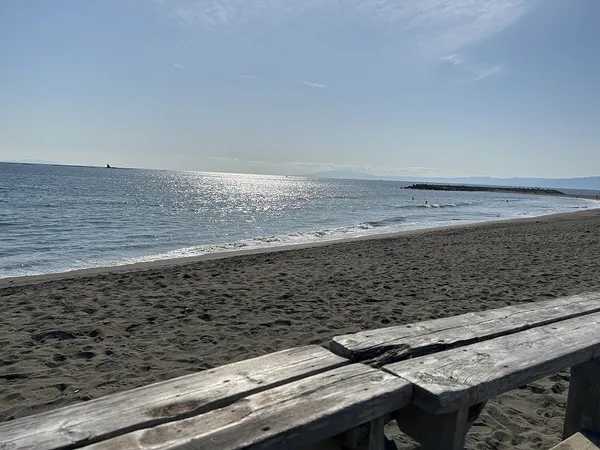 菱沼海岸／えぼし岩を遠望