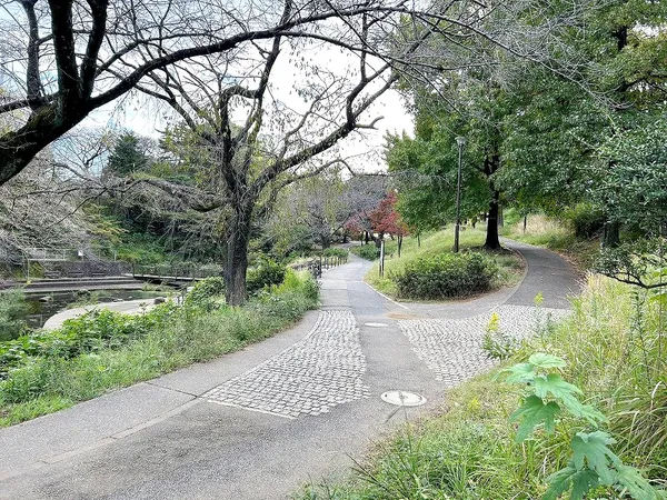 岸根公園　約５００ｍ