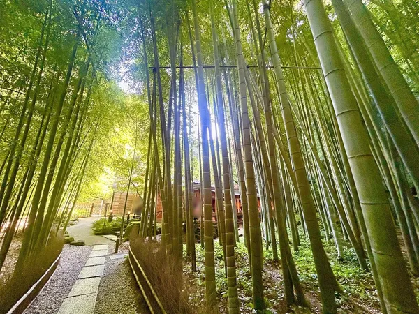 報国寺（竹寺）